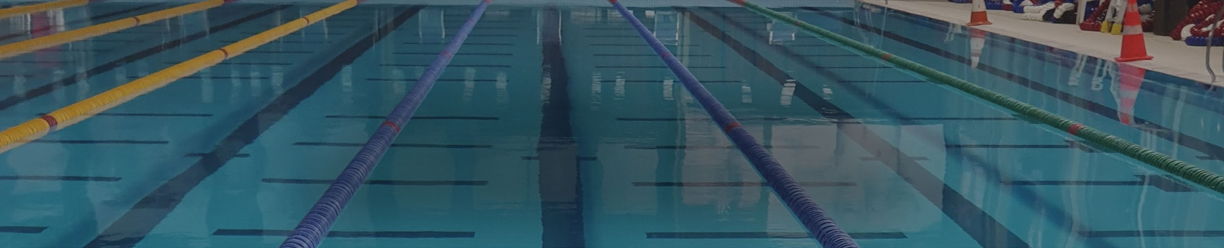 Swim School Today
